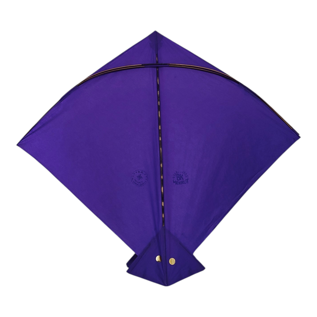 World Famous BK Meerut 38+1 Pauna Kites