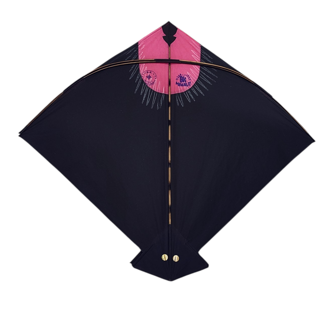 World Famous BK Meerut 38+1 Pauna Kites
