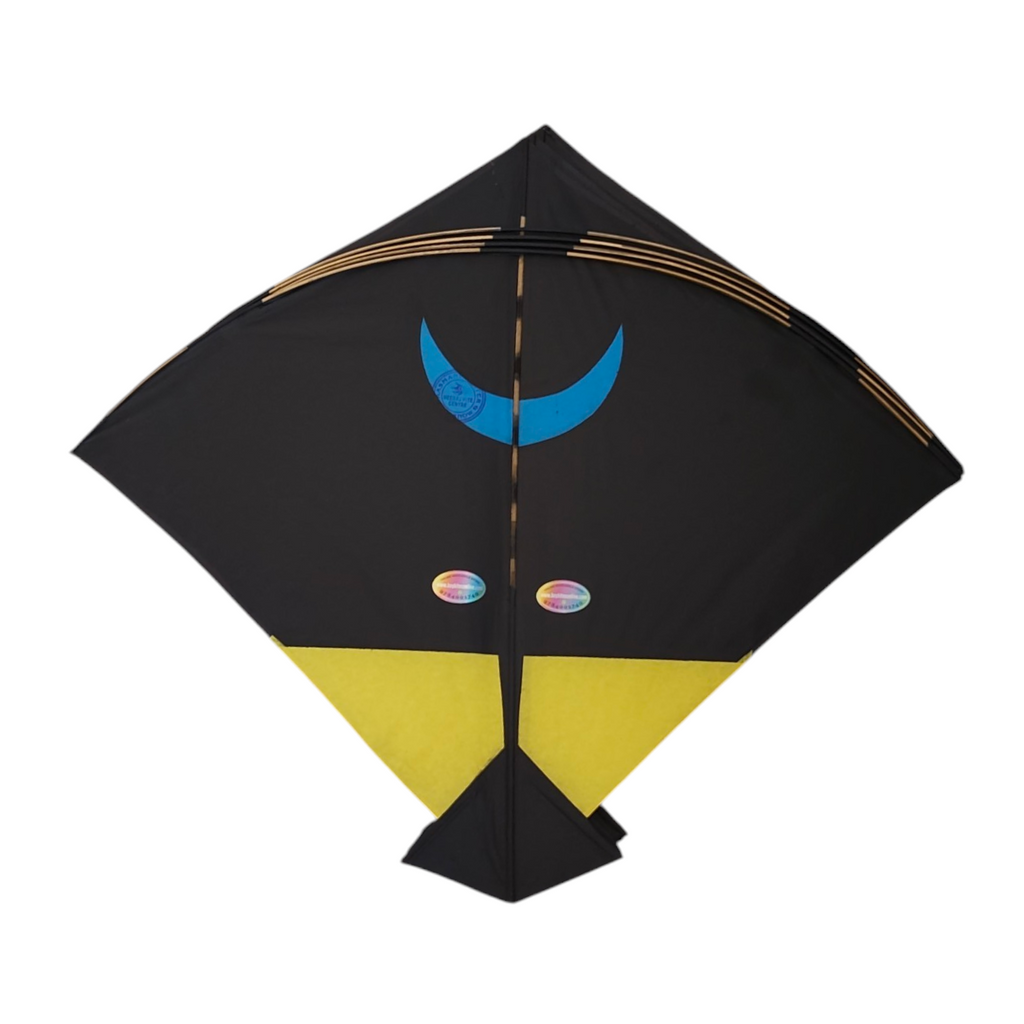 Lucknow Special Aasmani Hunter Addi Kites 50 Pcs