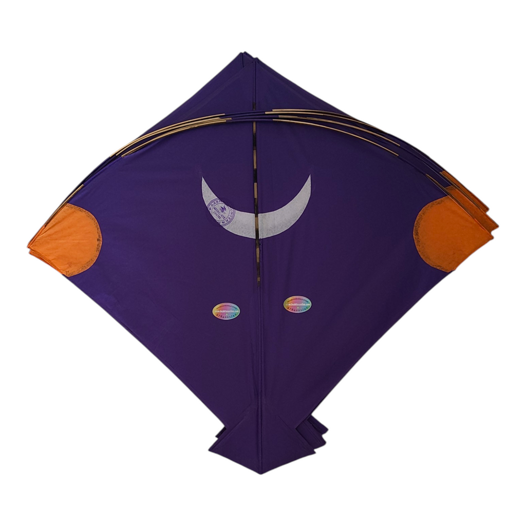 Lucknow Special Aasmani Hunter Addi Kites 50 Pcs