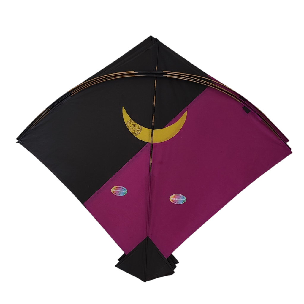Lucknow Special Aasmani Hunter Addi Kites 50 Pcs