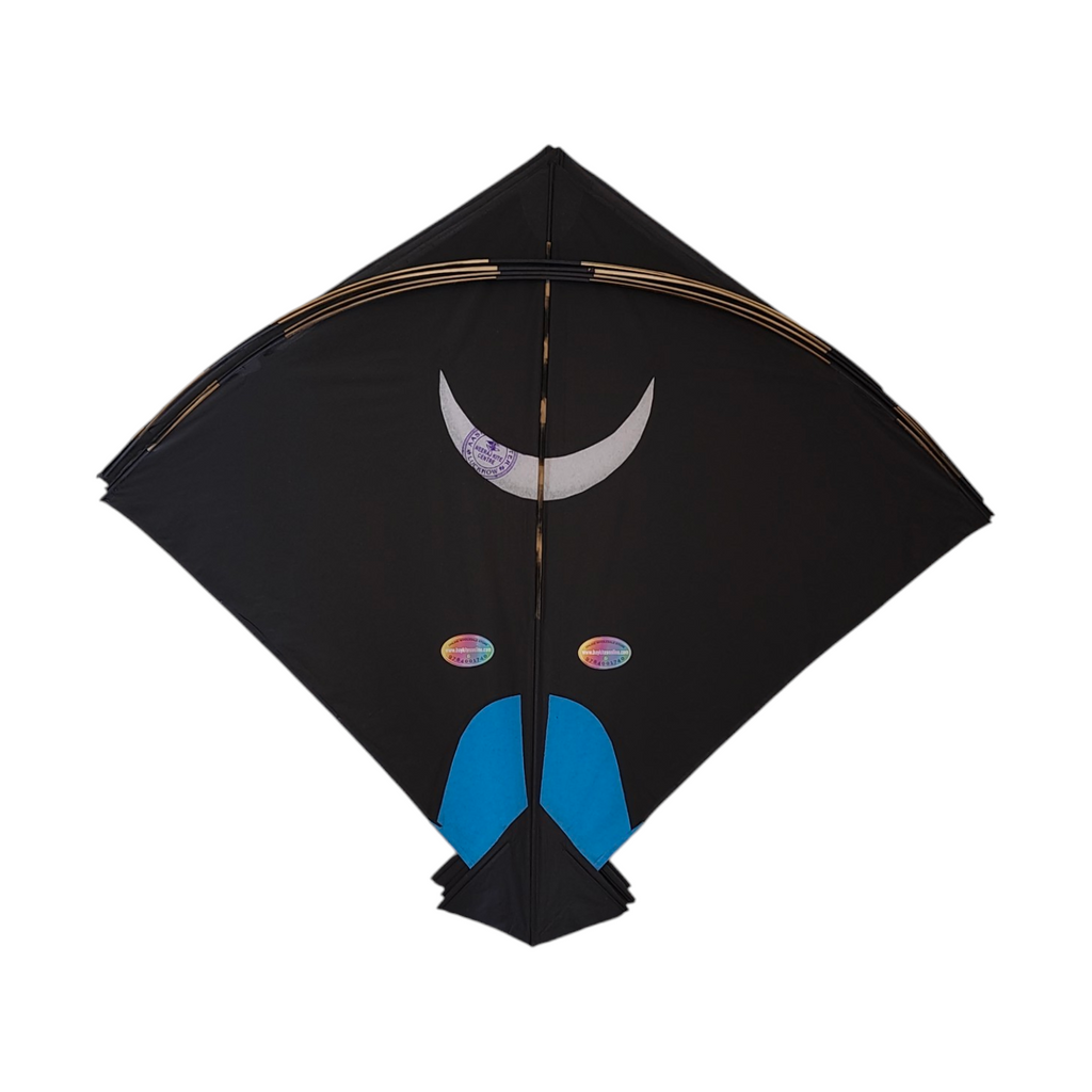 Lucknow Special Aasmani Hunter Addi Kites 50 Pcs