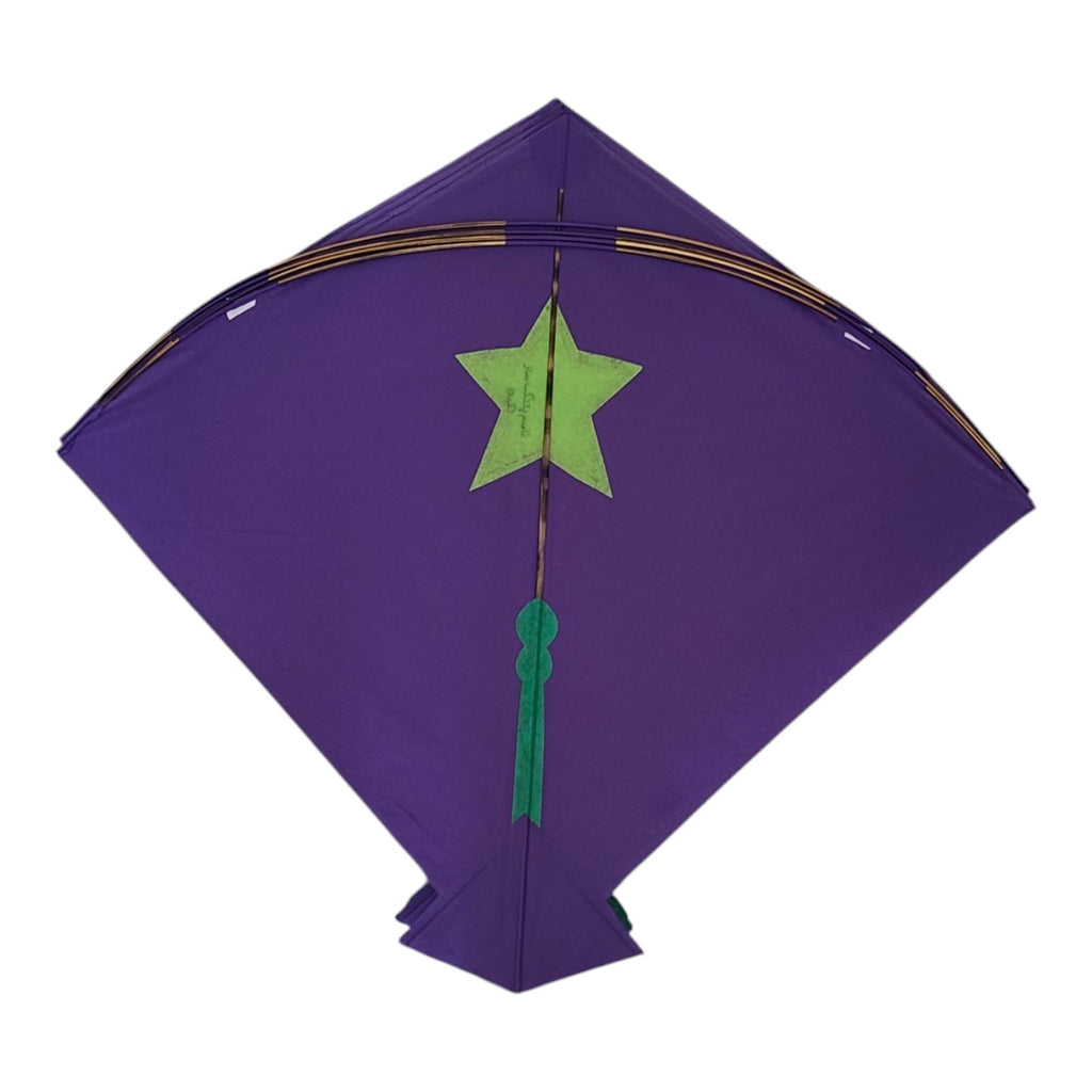 30 Pcs Star Branded Kites Pauna Size For All India Tournament
