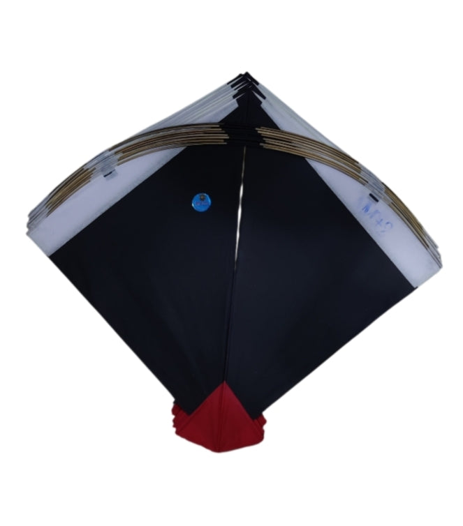 36 Goal Very Highly in Demand Tournament Pauna for Professional Kite Fighters