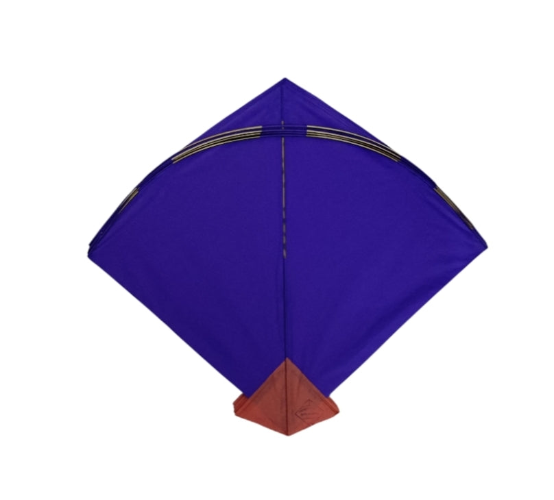 World Famous 50 Trimurti special big farma adda kites | High in demand