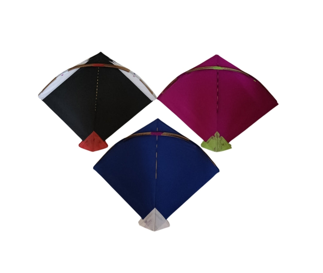 39 Kolkata Special Adda Kites | Perfection on Peak