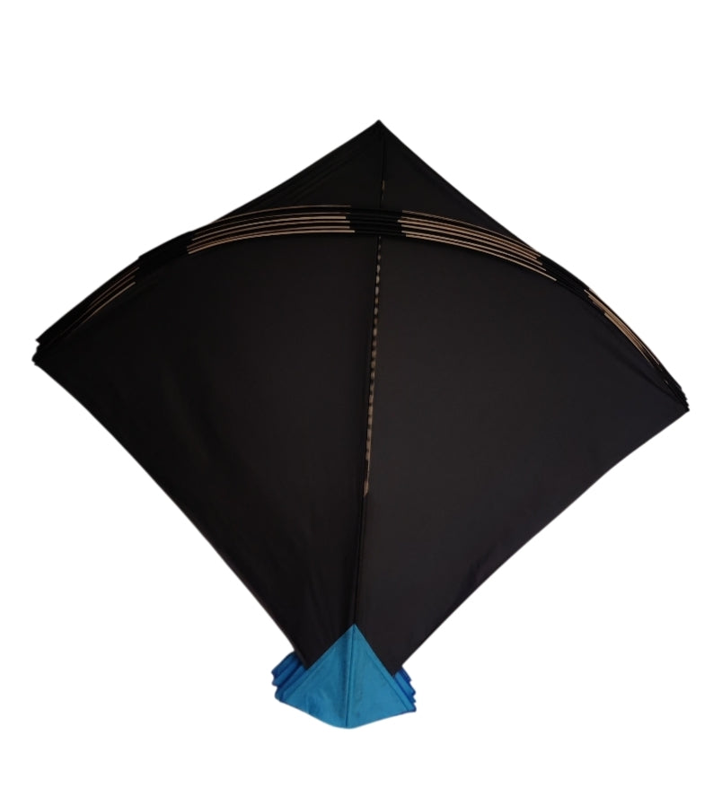 Fast pulling cheel kath farma 50 pauna kites at wholesale rates