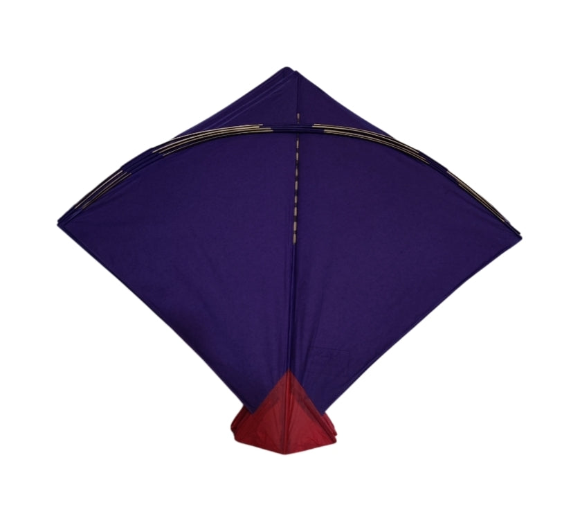 Azam Moradabad 50 branded adda ( Half Sheet ) cheel Kites