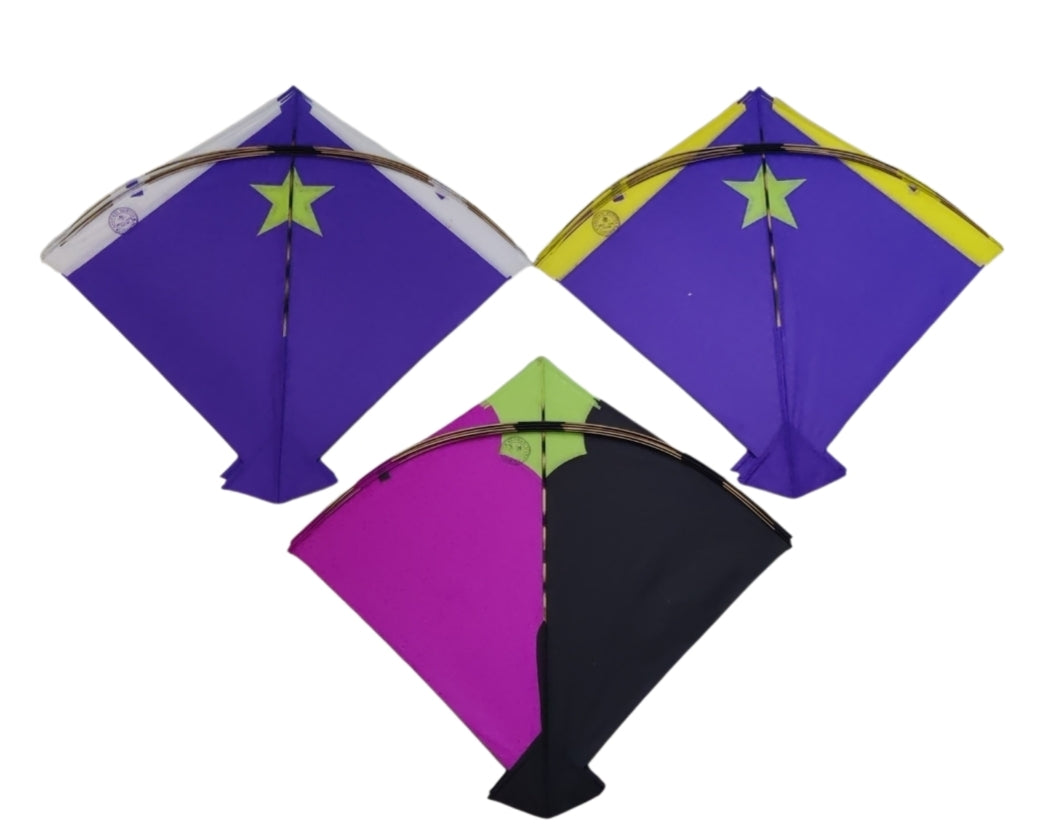 50 Multi design ASAMNI Hunter Pauna Kites | Professional Making ( Designs May Vary )
