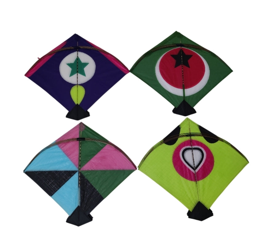 40 multi color fancy pauna kites limited editon