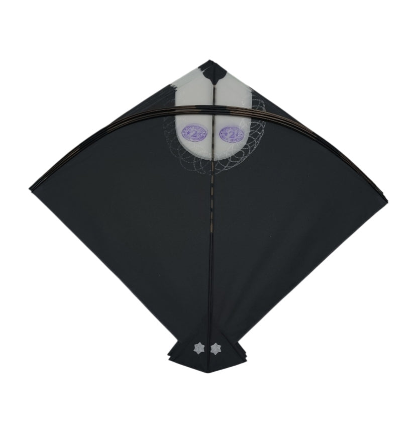 20 Branded Meerut Pauna Kites ( 23.5" X 26.5 " ) | Ustad Pintu Mewati