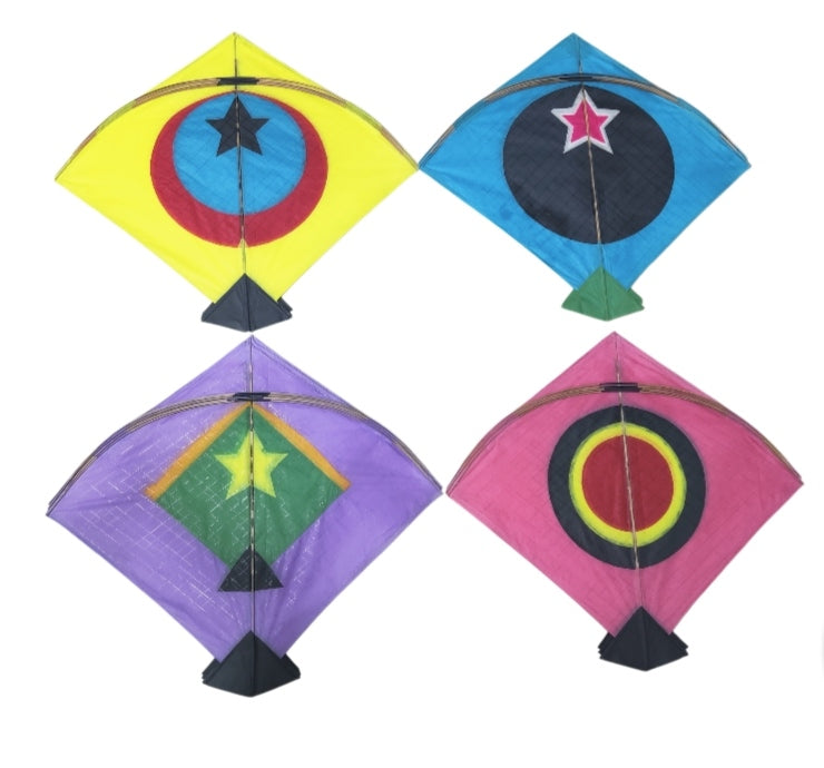 30 Designer Colorful pauna Kites