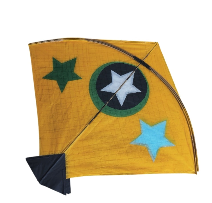 30 Designer Colorful pauna Kites