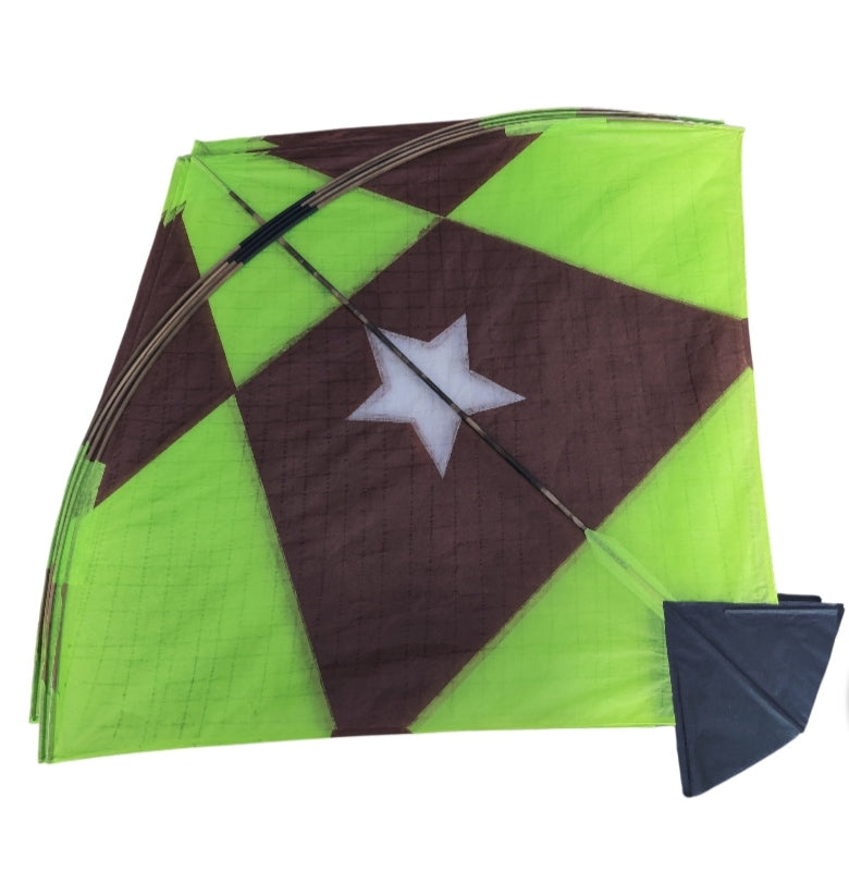 30 Designer Colorful pauna Kites