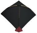 30 Precious Lucknow Ustad Bada Naresh Pauna Kites | Limited Branded kites