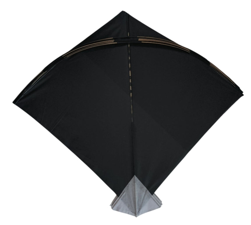 30 Precious Lucknow Ustad Bada Naresh Pauna Kites | Limited Branded kites