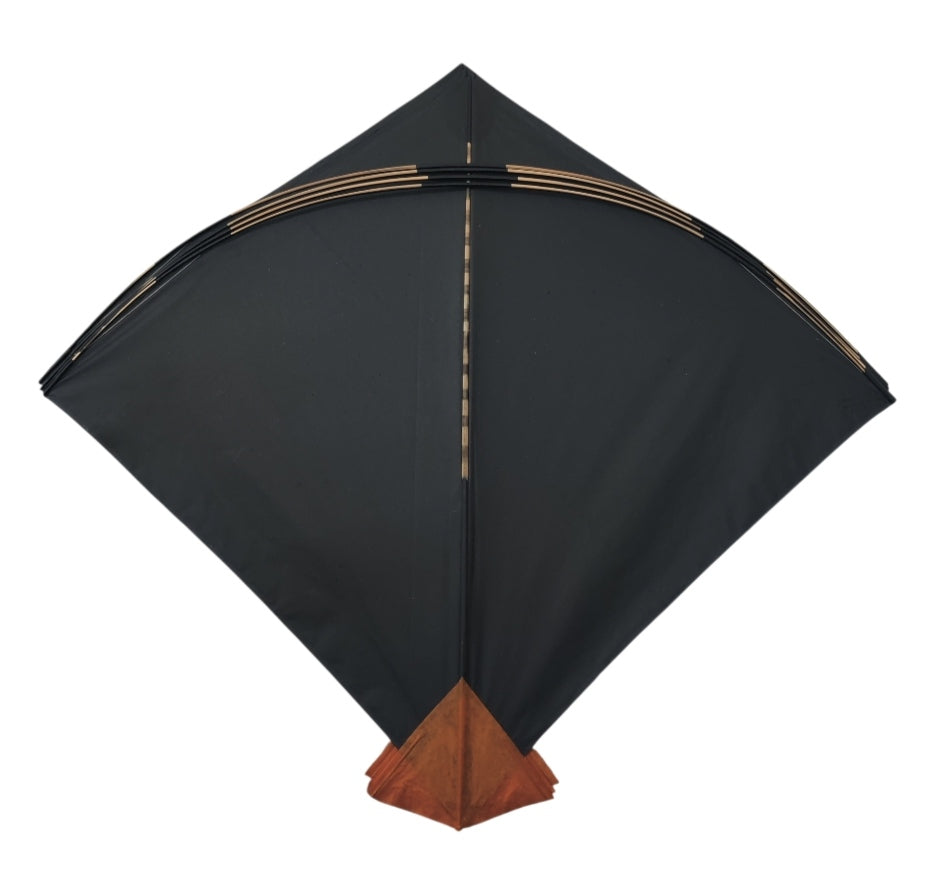 30 Precious Lucknow Ustad Bada Naresh Pauna Kites | Limited Branded kites