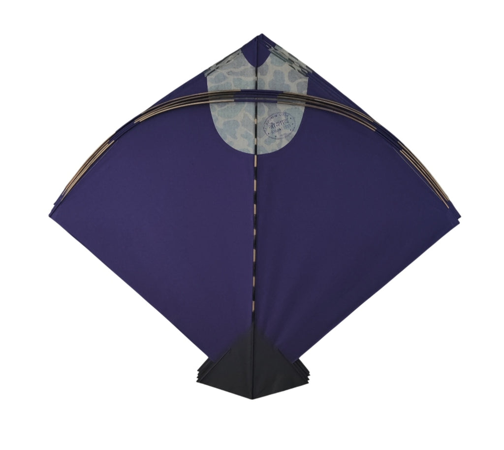 Nausad Fancy Goal Farma 26 Premium Quality Pauna Kites