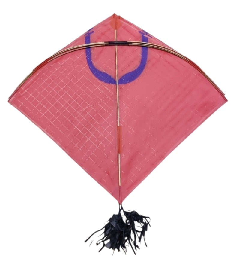 50 Fancy Designer Bana Kites | Exclusive limited edition kites ( பன காடடி)