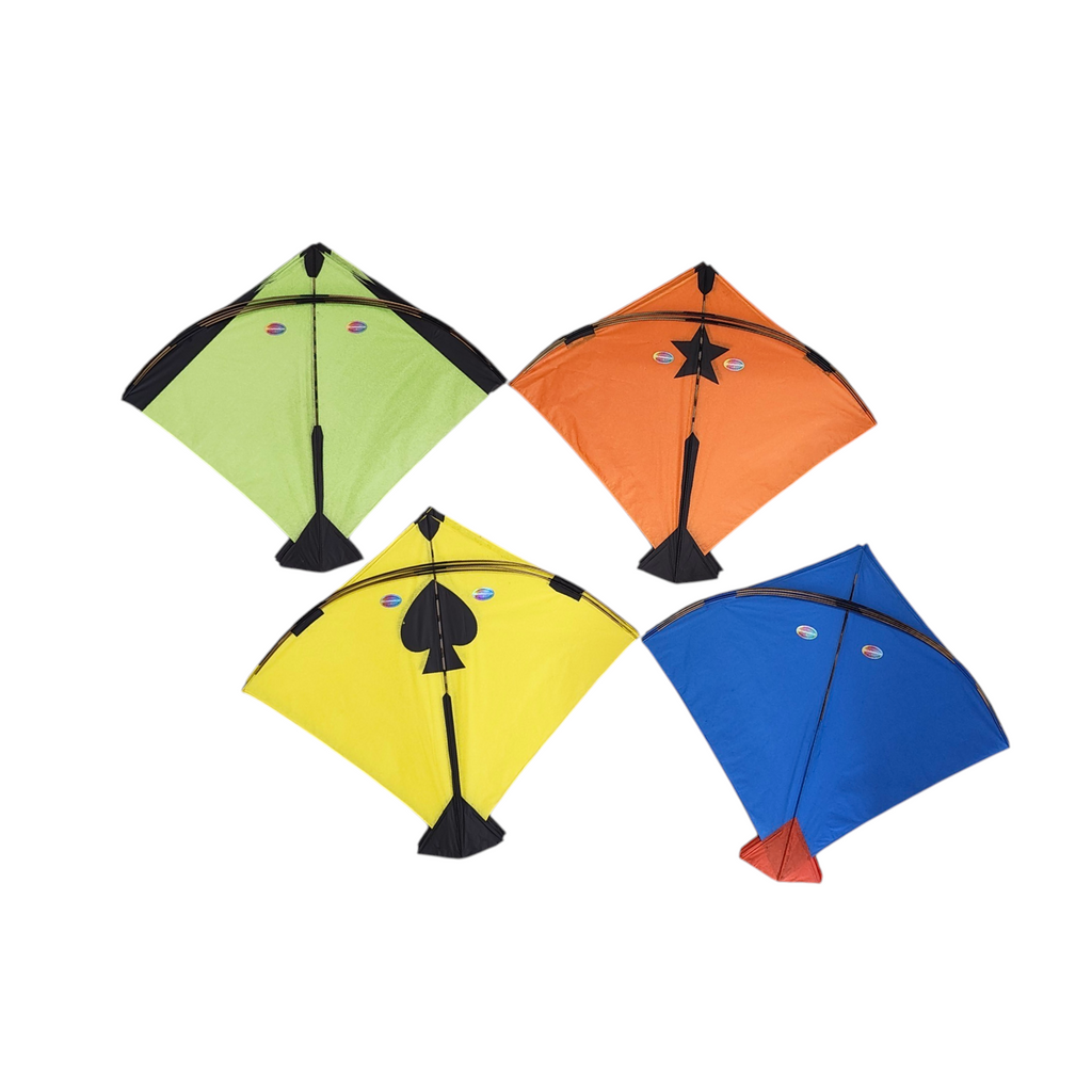 Branded Color Full Pauna 50 Pieces Height-23.5" Width-26.5"