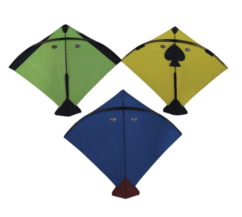 Branded Color Full Pauna 50 Pieces Height-23.5" Width-26.5"