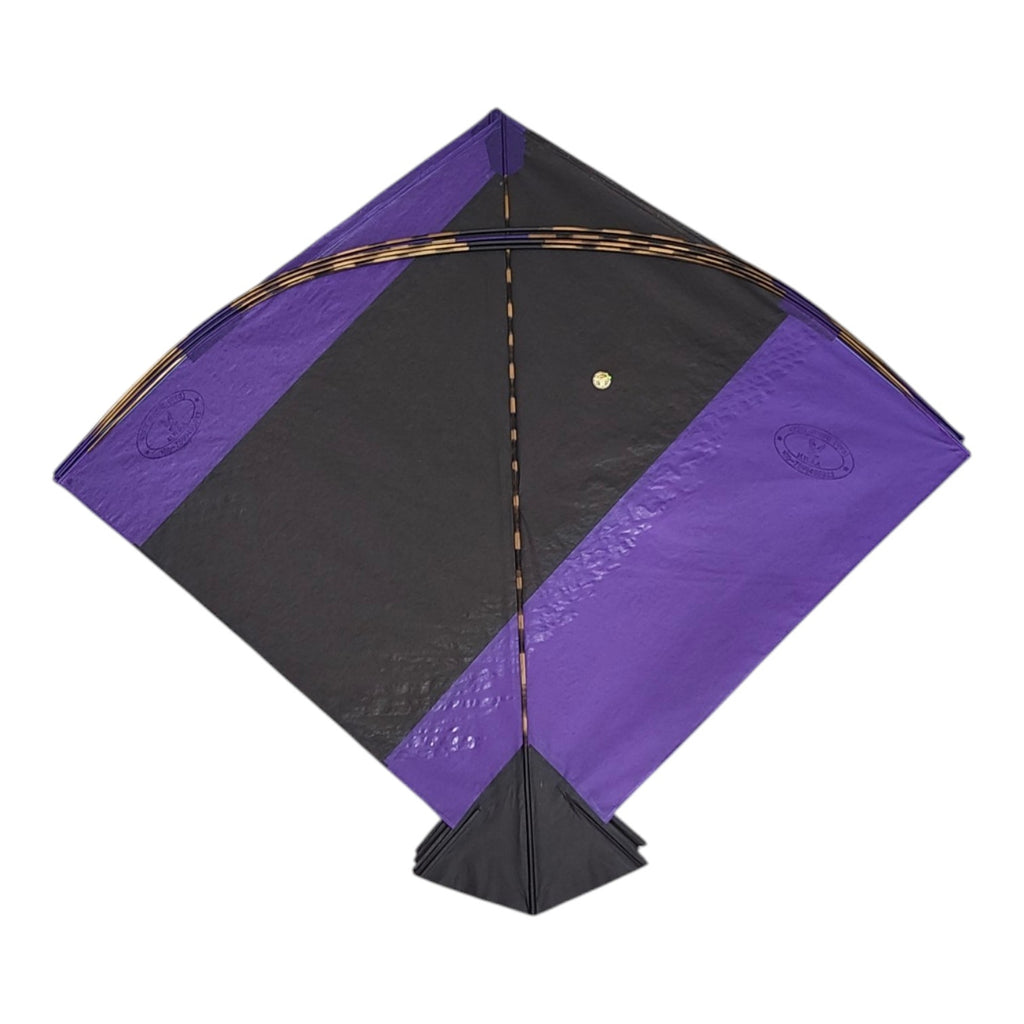 Famous Meerut Waize Ansari 20 Pcs Pauna Kites