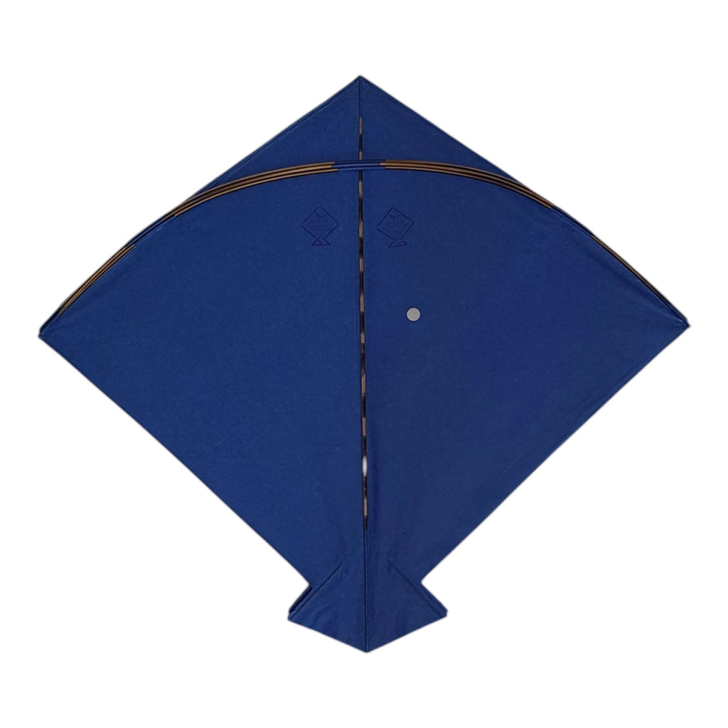 Famous Meerut Waize Ansari 20 Pcs Pauna Kites
