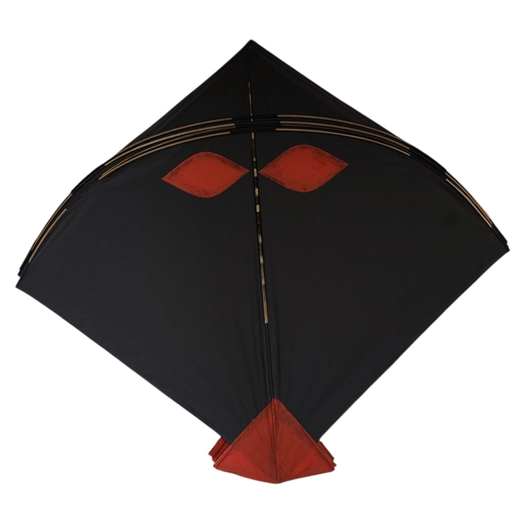 50 Most Famous Moradabad Kites Big Pauna Farma Pona range Fighter Kites