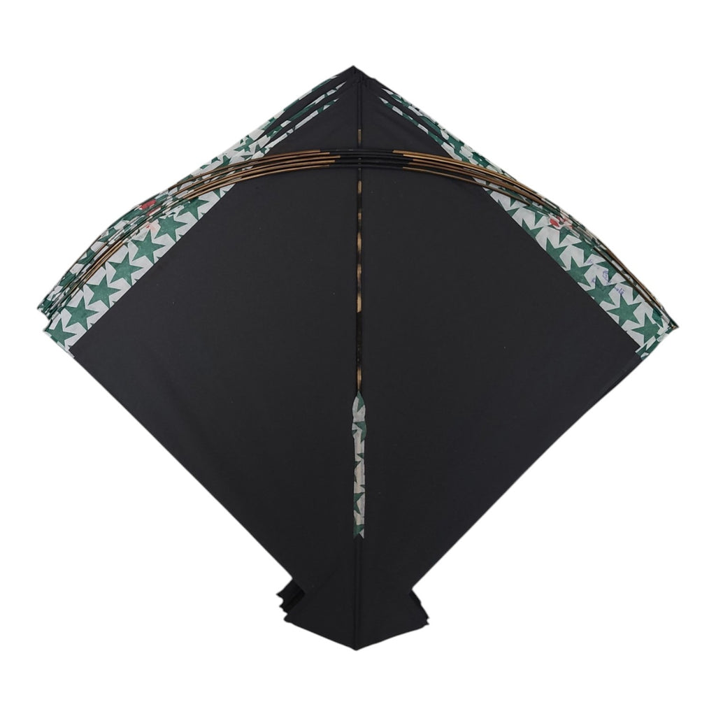 58 Pcs well Designed Designer Pauna Fighter Kites from LUCKNOW
