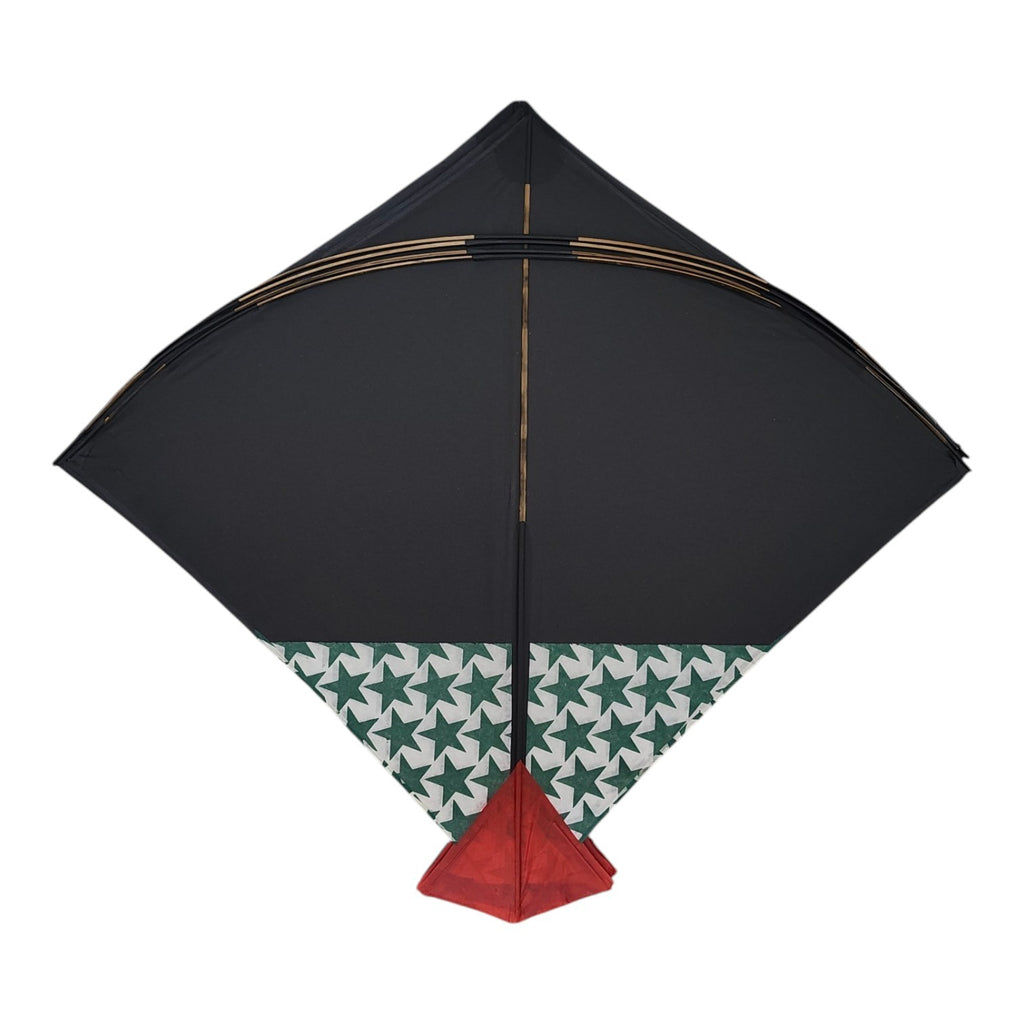56 Pcs well Designed Designer Pauna Fighter Kites from LUCKNOW
