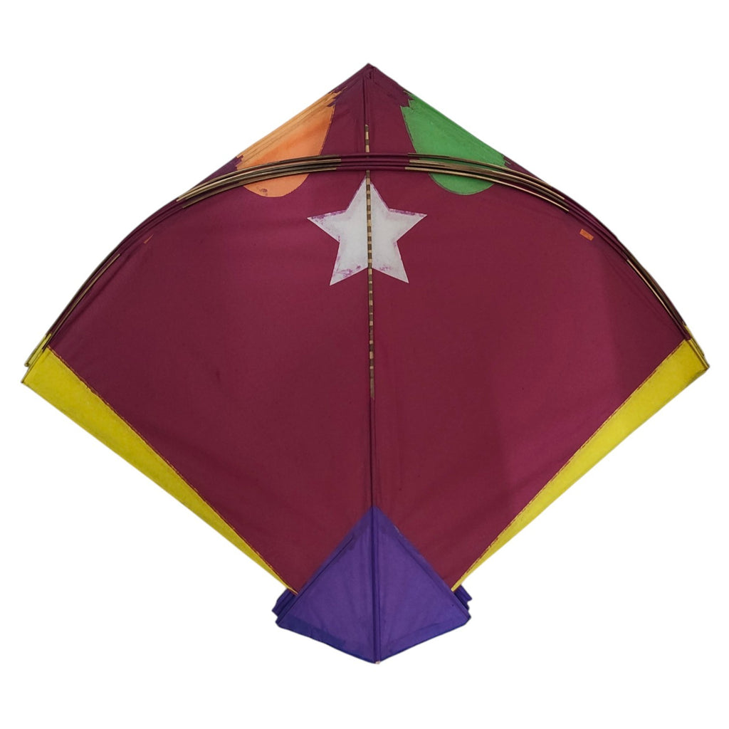 Exclusive damru shape pauna 23 pieces long range fighter kites