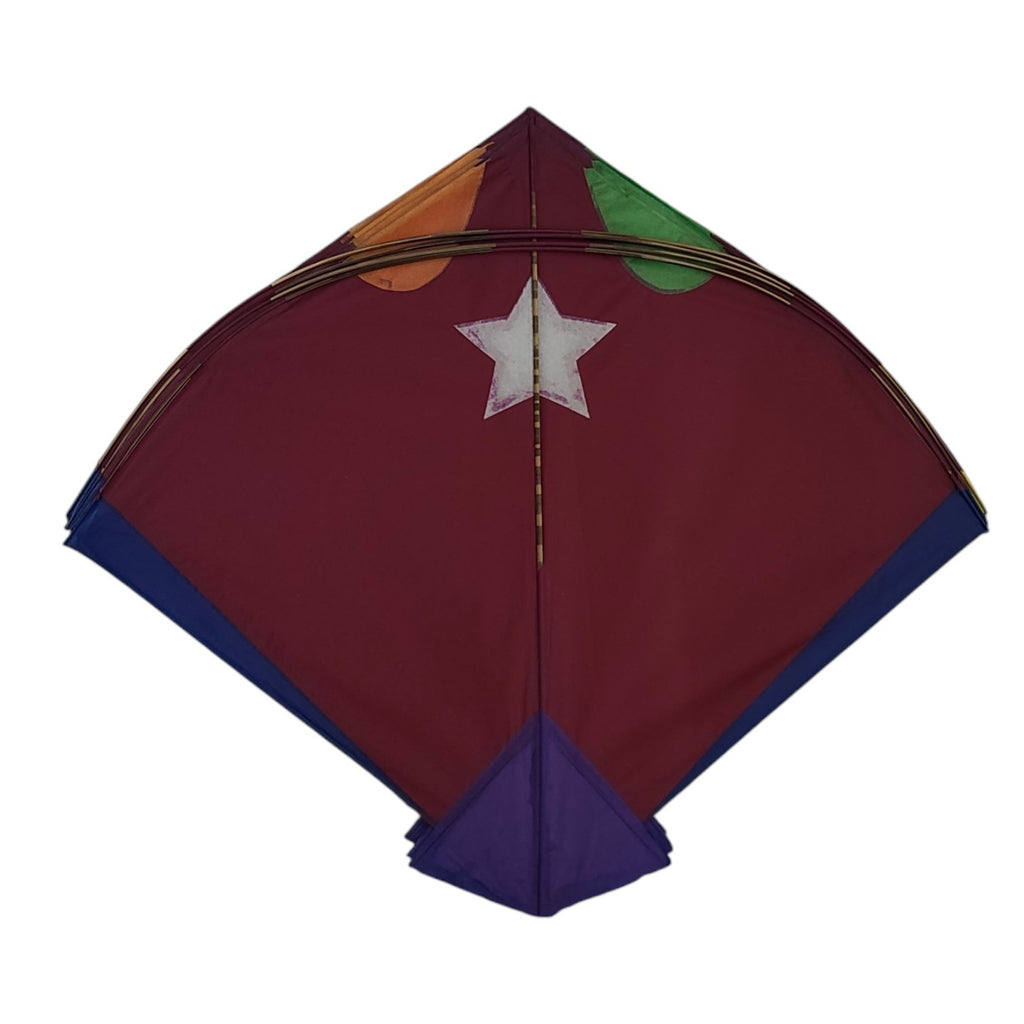 Exclusive damru shape pauna 23 pieces long range fighter kites