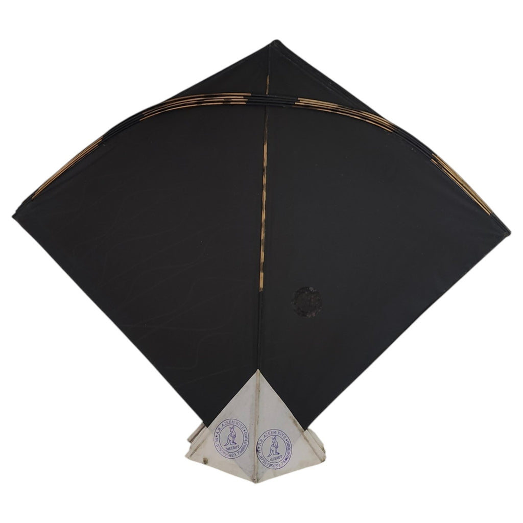 World Famous A.R. Azeem Meerut 15 Pcs Pauna Kites ( 60x68 cm)
