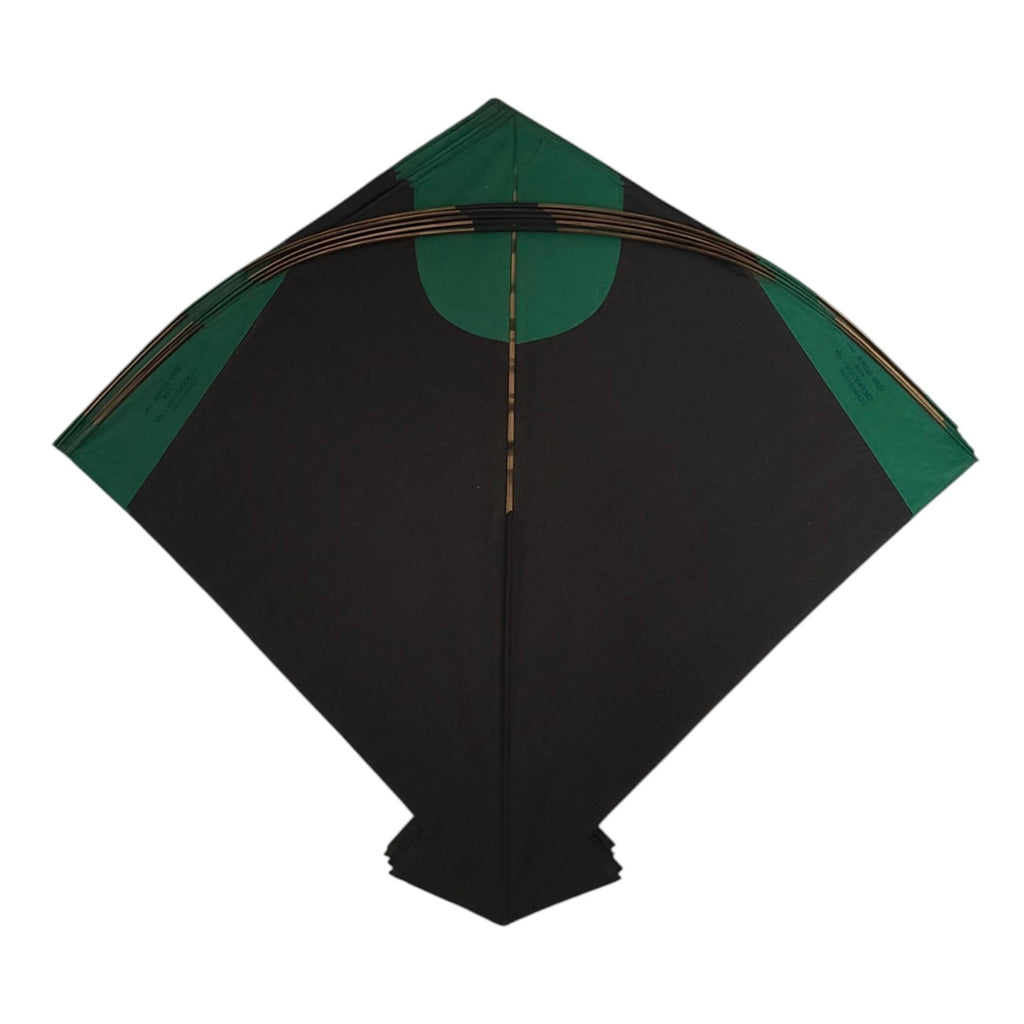 44 Colorful fighter pauna kites from Meerut Umar Abassi Old Gold collection ( 59 x 67 cm )