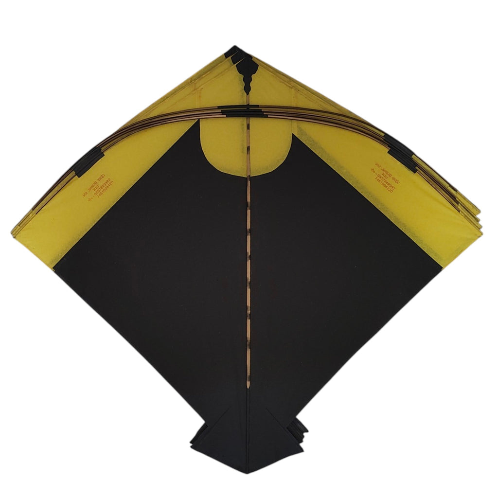 44 Colorful fighter pauna kites from Meerut Umar Abassi Old Gold collection ( 59 x 67 cm )