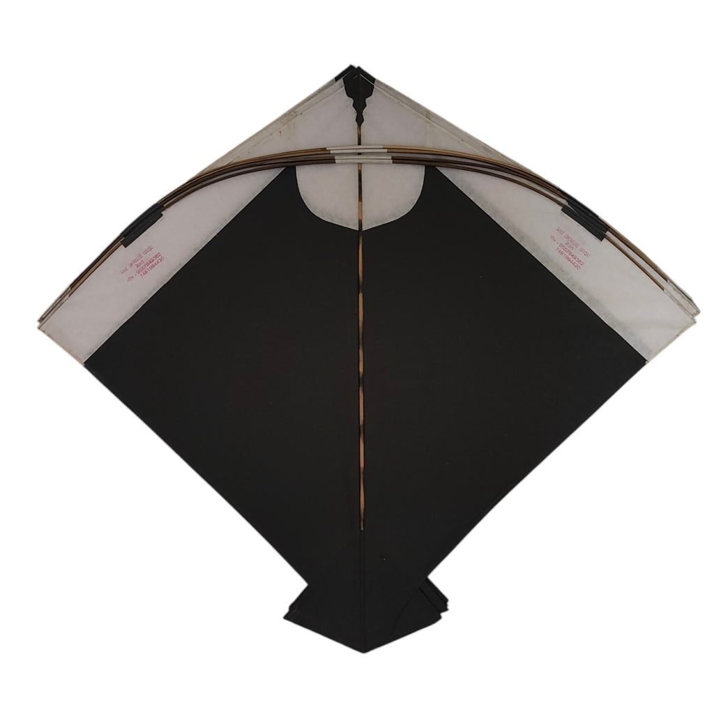 44 Colorful fighter pauna kites from Meerut Umar Abassi Old Gold collection ( 59 x 67 cm )