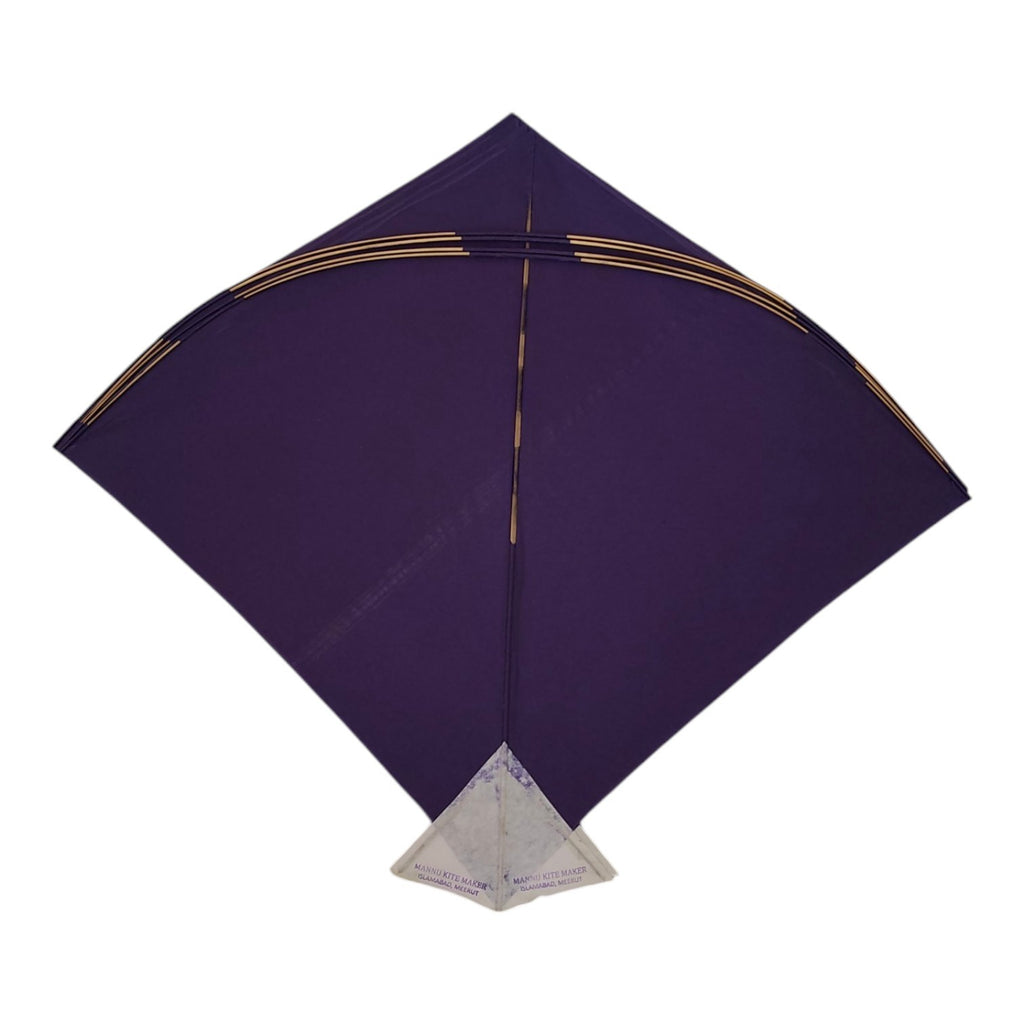 27 Mannu Meerut Limited Edition Adda Size Kites ( 55 x 63 cm)