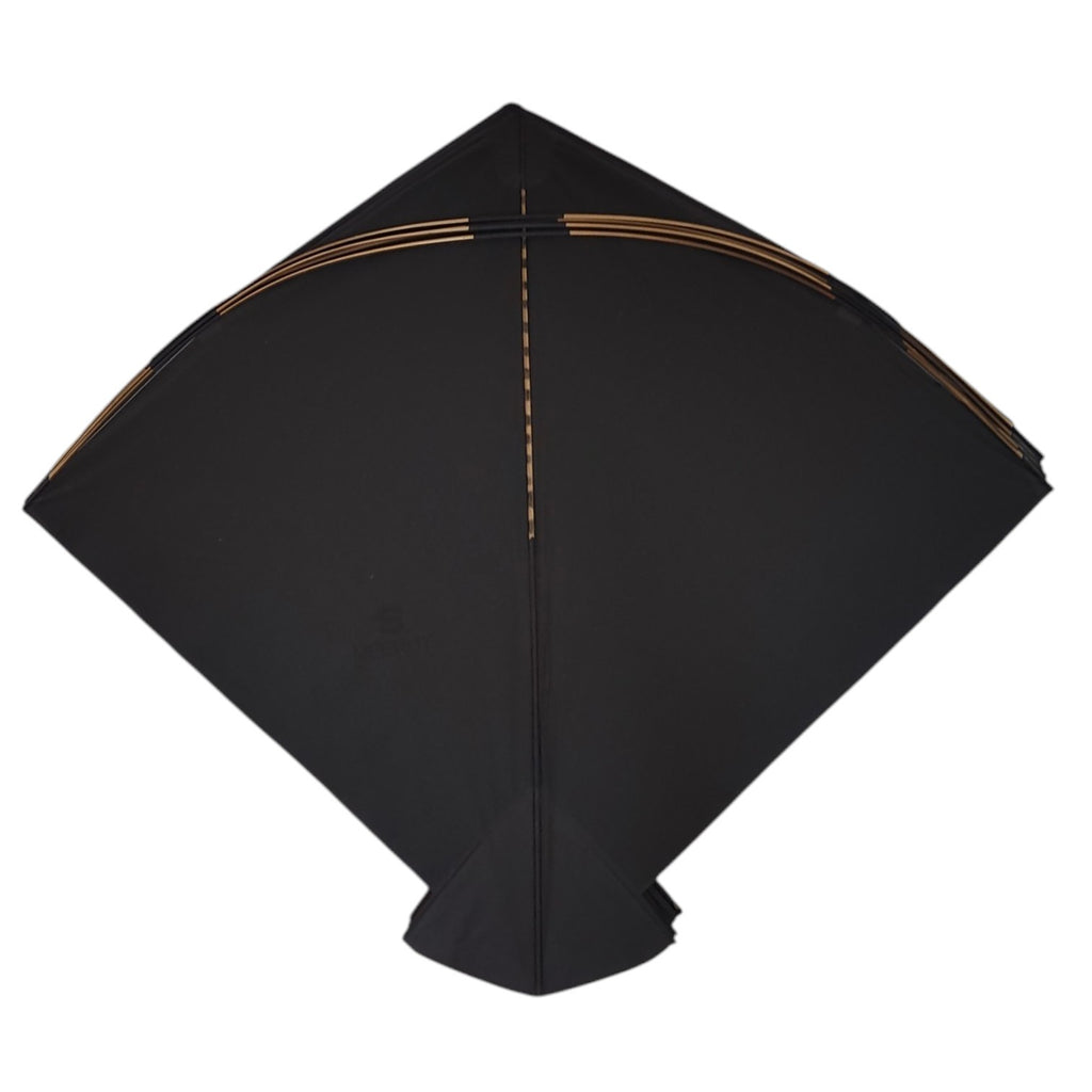 23 S Meerut Limited adda size kites ( 54 x 64 cm )