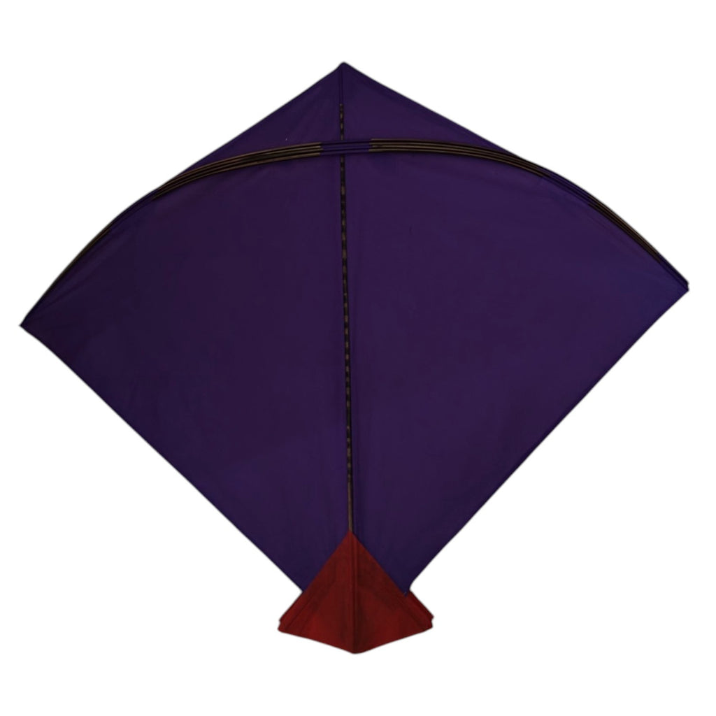 30 Premium Blue Plain Pauna Kites Ready to Use ( 60 x 68 cm)