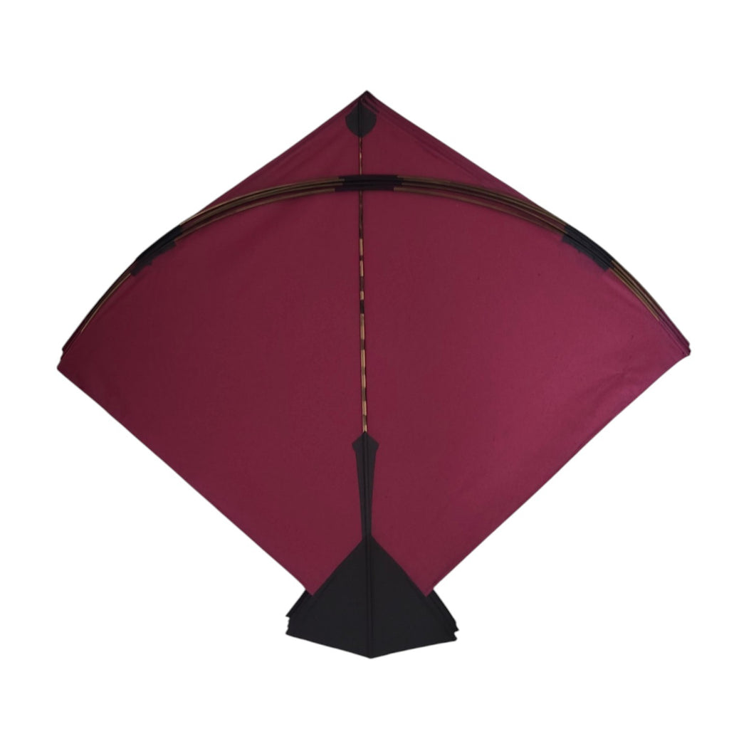 50 Pcs Best Samosa Farma Pauna kites | Exclusive Collection | (Vertical - 59 cm = horizontal - 67 cm)