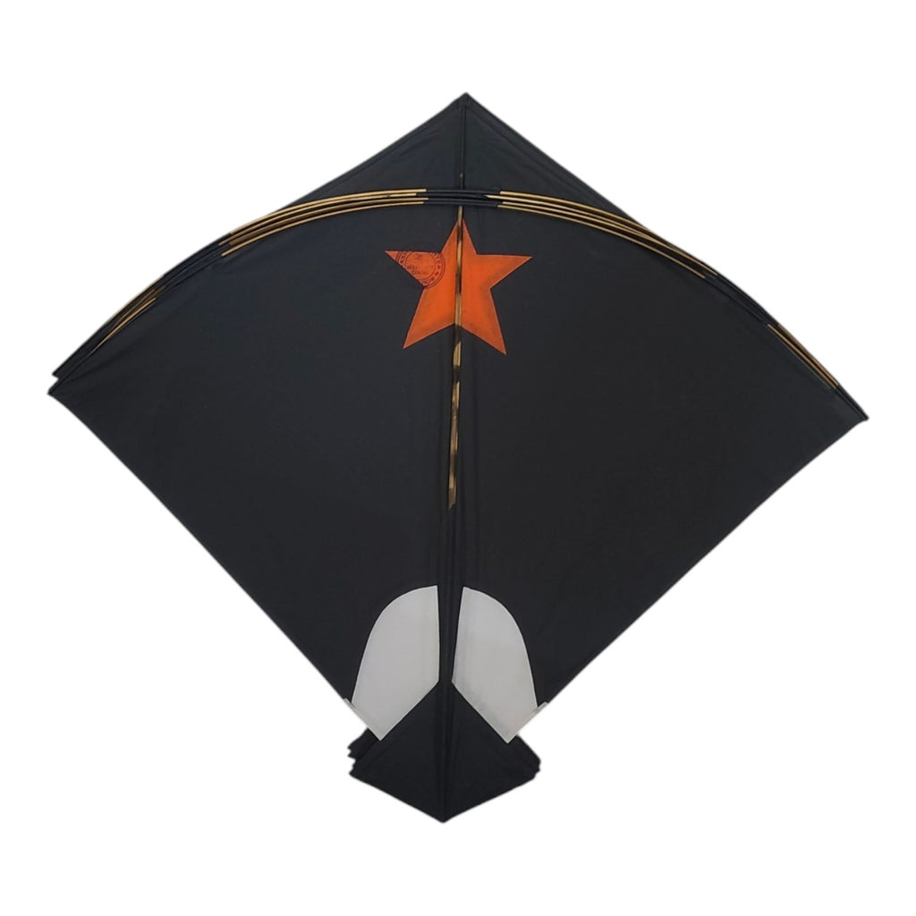 Lucknow Special Aasmani Hunter Addi Kites 50 Pcs ( Design Changed ) (Vertical - 57 cm = horizontal - 64 cm)