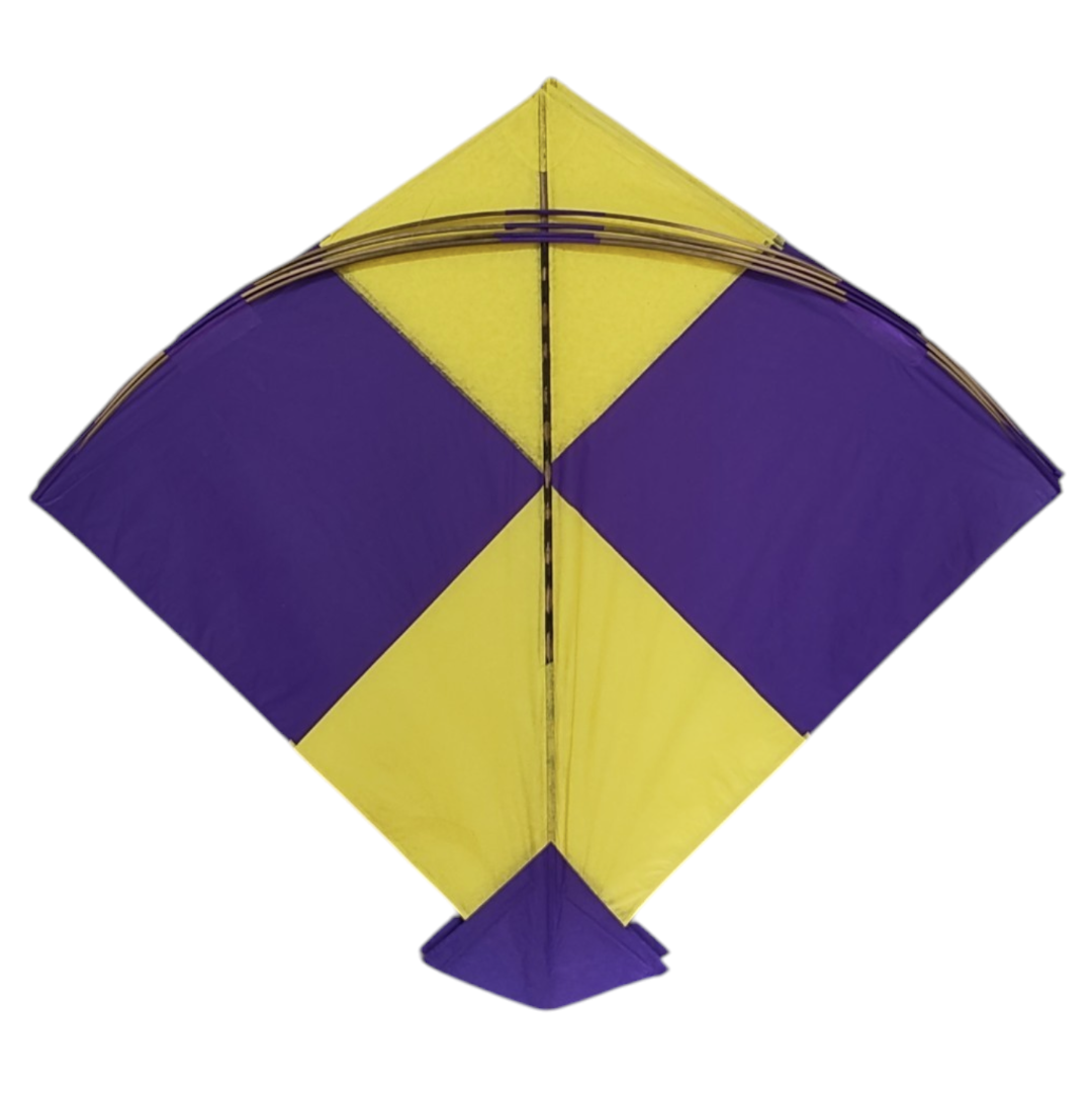 Wholesale online Bareilly Special Adda Size Kites 100Pcs