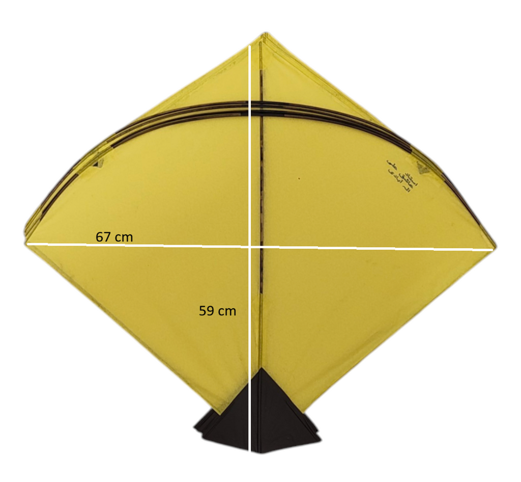 Unique colorful Goal Pauna 37 pieces only left : Best trending kites