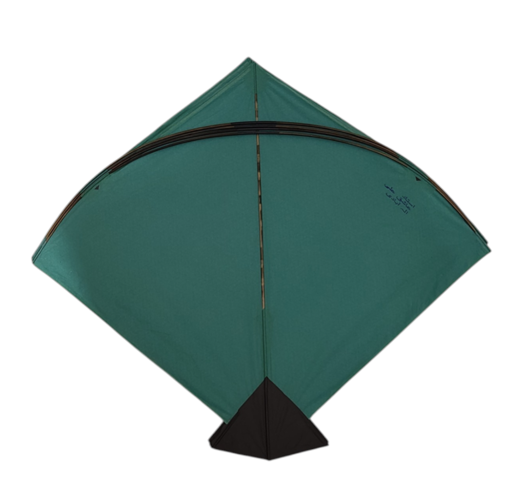 Unique colorful Goal Pauna 37 pieces only left : Best trending kites