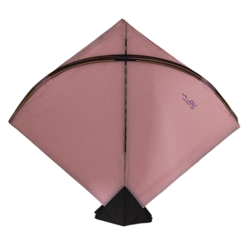 Unique colorful Goal Pauna 37 pieces only left : Best trending kites