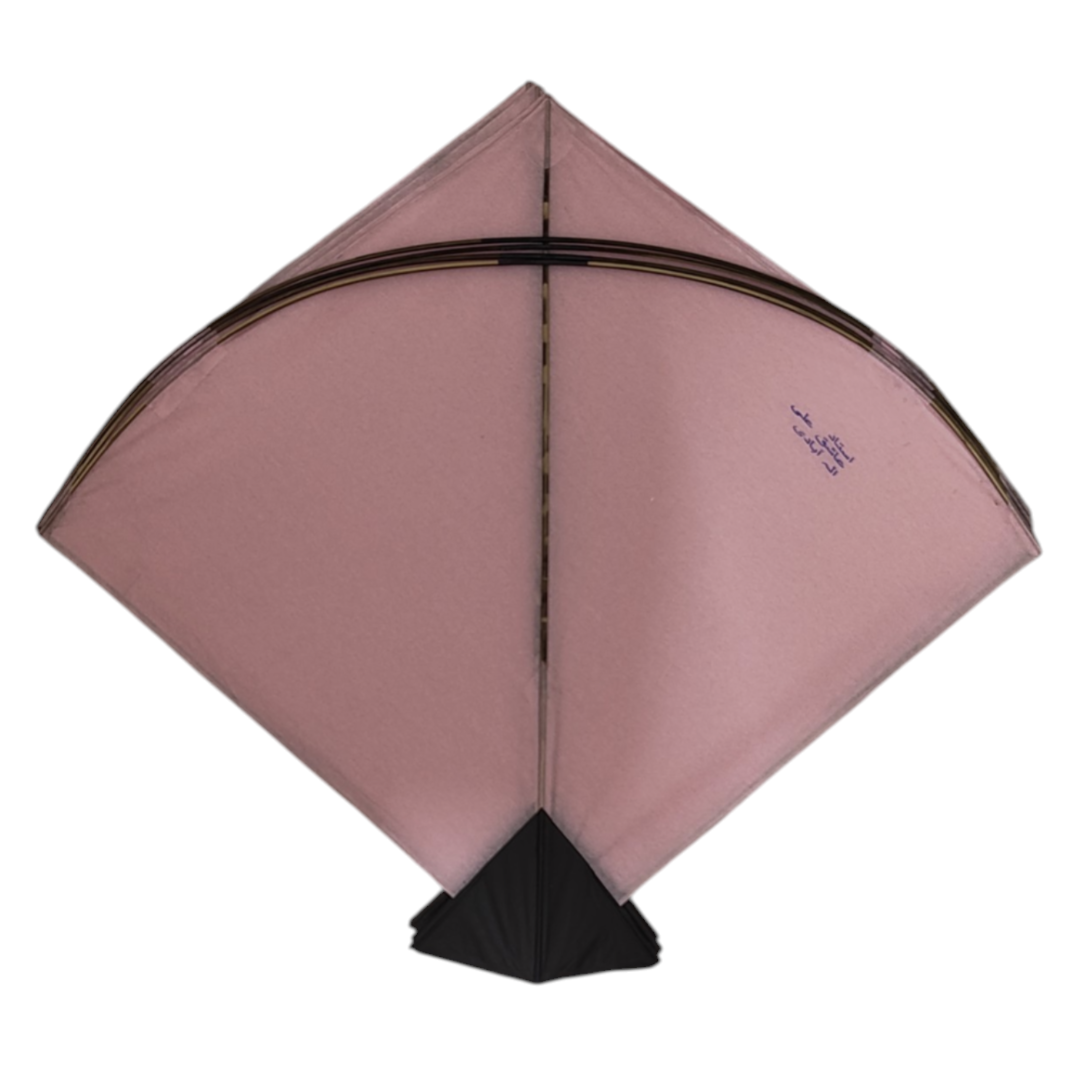 Unique colorful Goal Pauna 37 pieces only left : Best trending kites