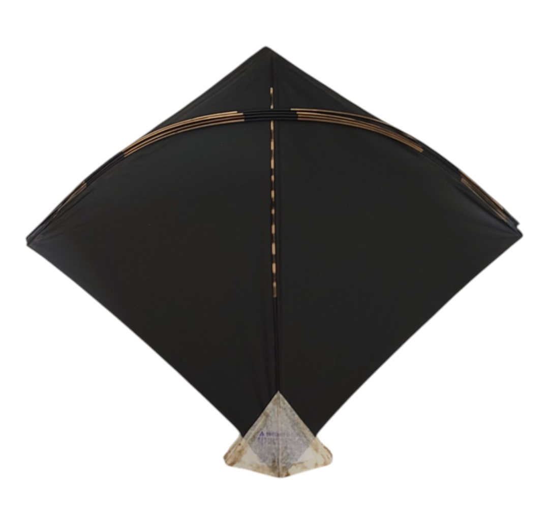 Free 14 kites on Purchase of 60- Mix Branded 74 Addi Kites ( Monu Bali , Babu Anees, RK, Shibu Etc.)