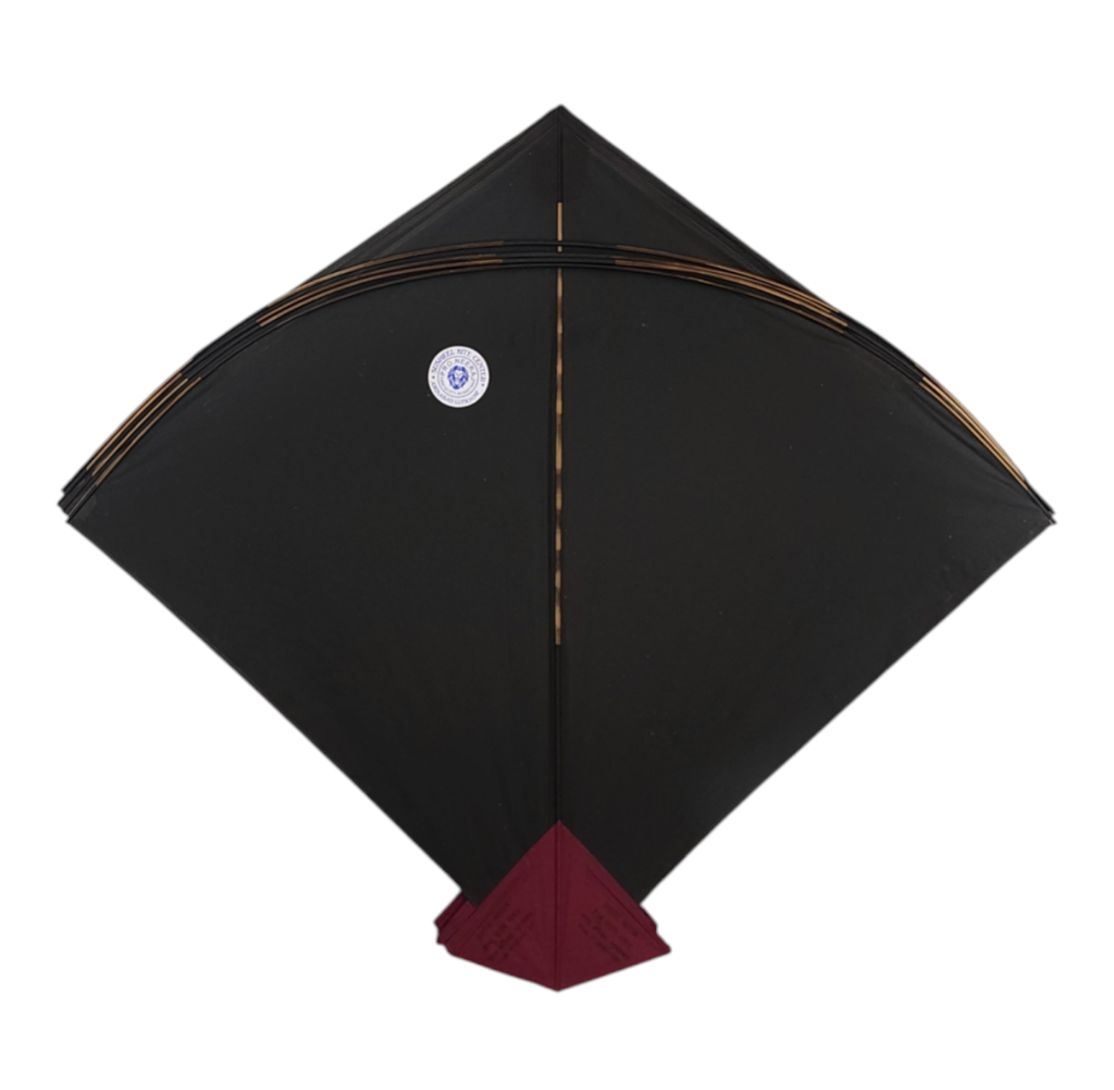 Free 14 kites on Purchase of 60- Mix Branded 74 Addi Kites ( Monu Bali , Babu Anees, RK, Shibu Etc.)