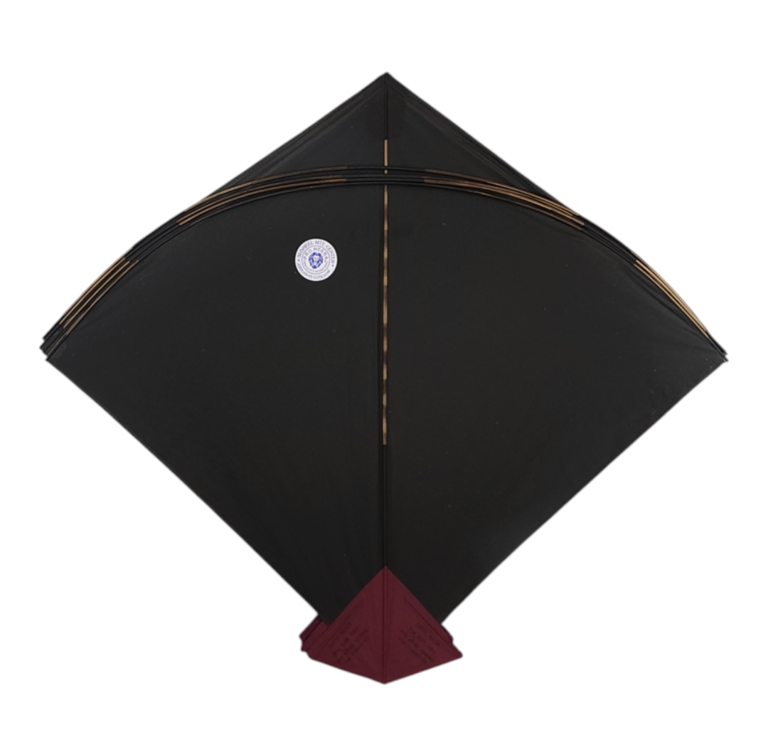 Free 14 kites on Purchase of 60- Mix Branded 74 Addi Kites ( Monu Bali , Babu Anees, RK, Shibu Etc.)
