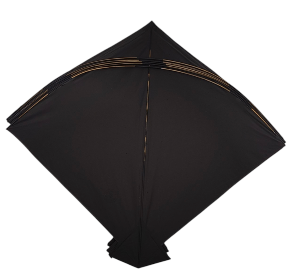 Free 14 kites on Purchase of 60- Mix Branded 74 Addi Kites ( Monu Bali , Babu Anees, RK, Shibu Etc.)